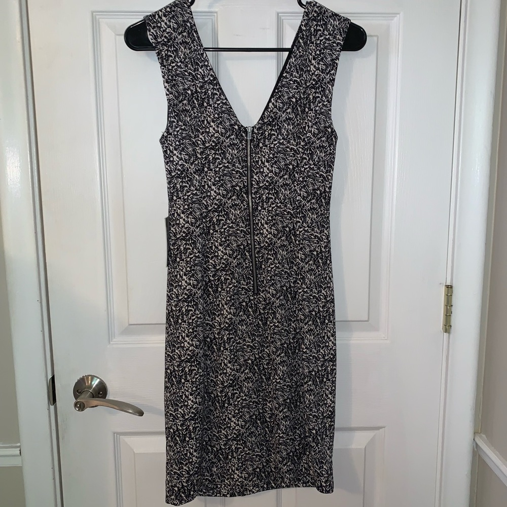 Express Pattern Dress - Picture 5 of 6